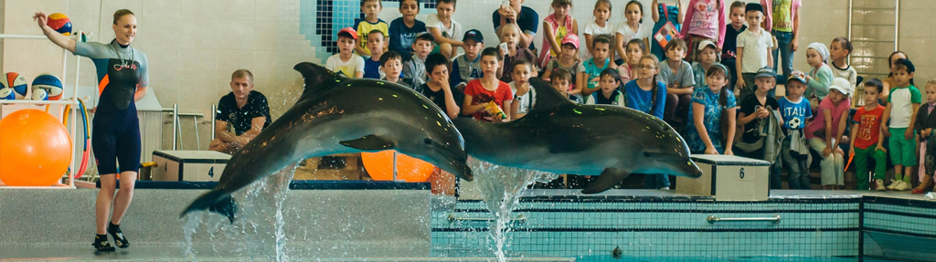 Дельфинарий в Набережных челнах